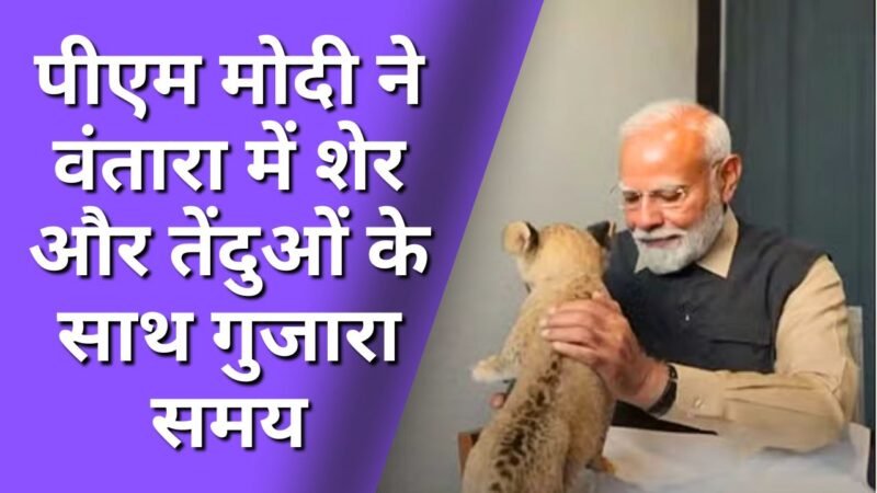 PM modi: पीएम मोदी ने वंतारा में शेर और तेंदुओं के साथ गुजारा समय