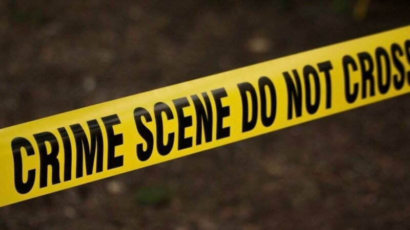 Haryana News: बहादुरगढ़ टोल प्लाजा पर दर्दनाक घटना