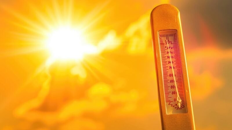 Weather update: पंजाब में बढ़ी गर्मी की मार, मौसम विभाग ने लू को लेकर जारी किया अलर्ट