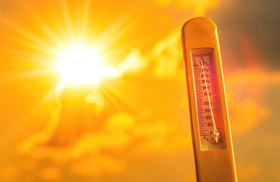 Weather update: पंजाब में बढ़ी गर्मी की मार, मौसम विभाग ने लू को लेकर जारी किया अलर्ट